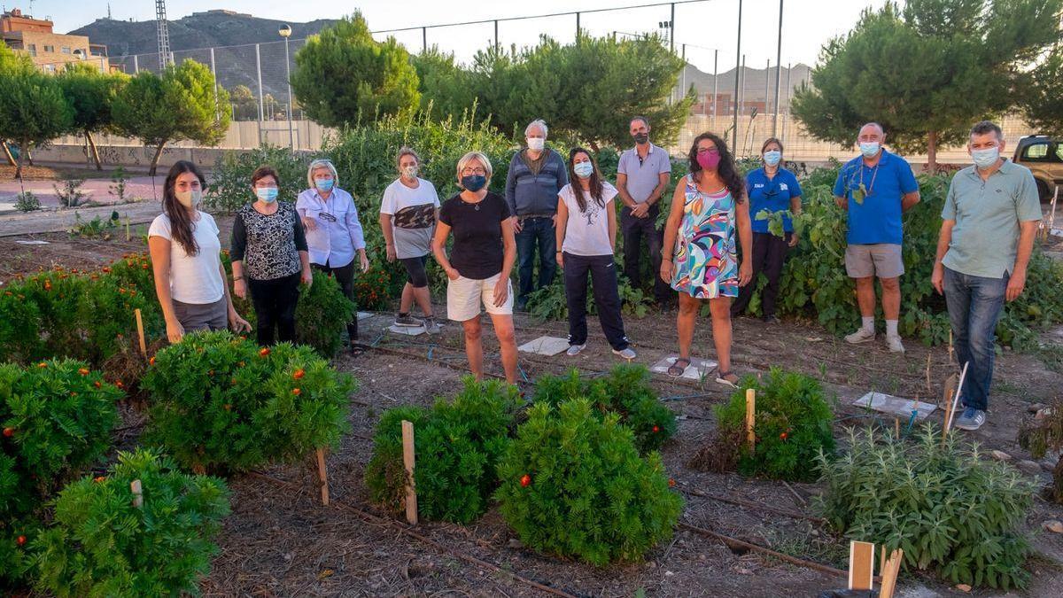 Arranca al primer huerto urbano de iniciativa público-privada