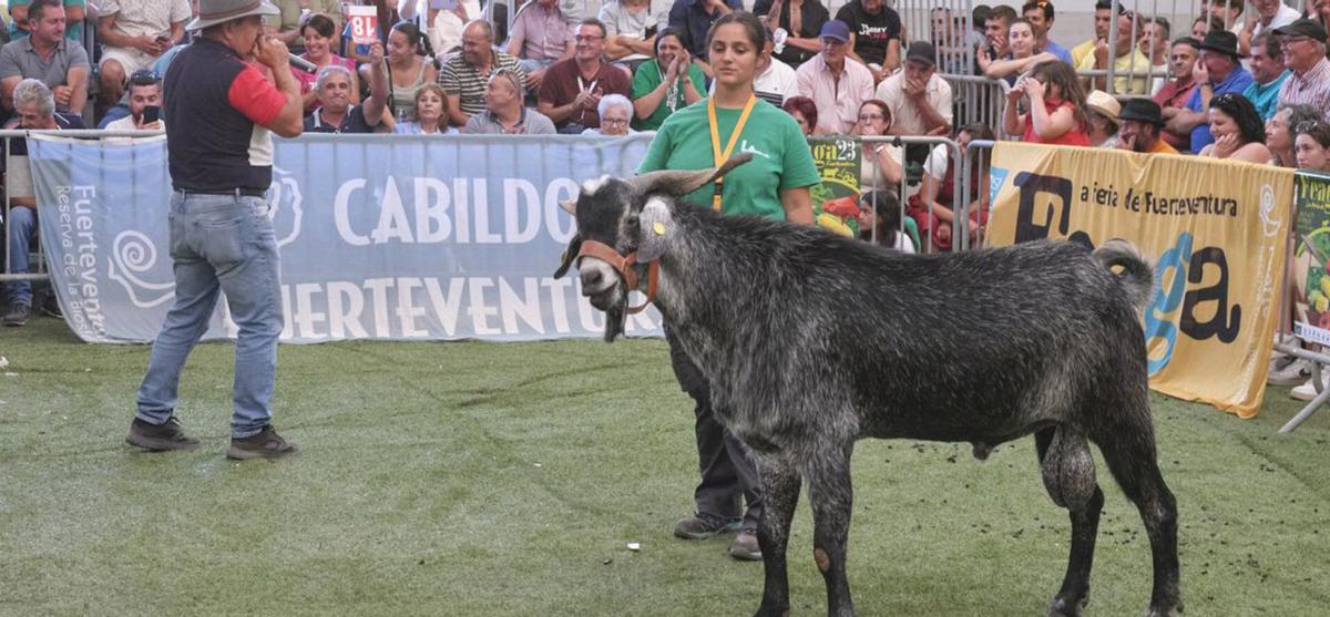 Juan Pedro, el ordeñador más rápido