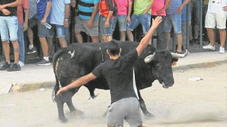 Suspenden un ‘bou embolat’ por «no estar en condiciones»