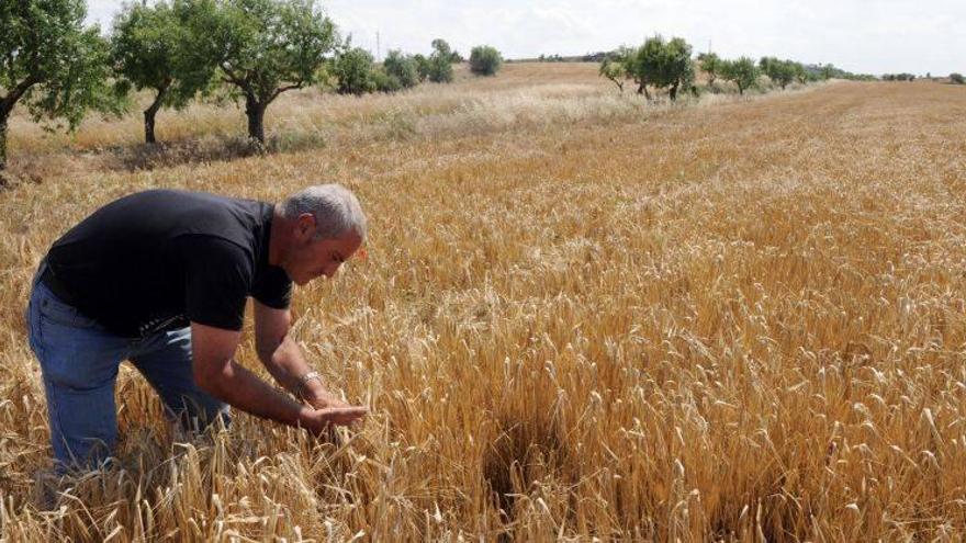 Agricultores aragoneses reciben 412 millones del Feaga hasta abril