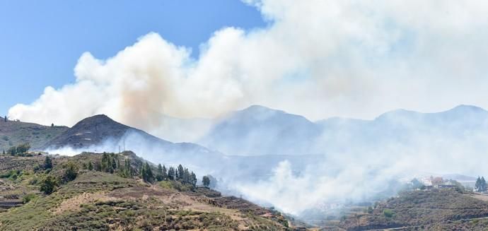 11-08-2019 Artenara. Segundo día del incendio en la cumbre  | 11/08/2019 | Fotógrafo: Andrés Cruz