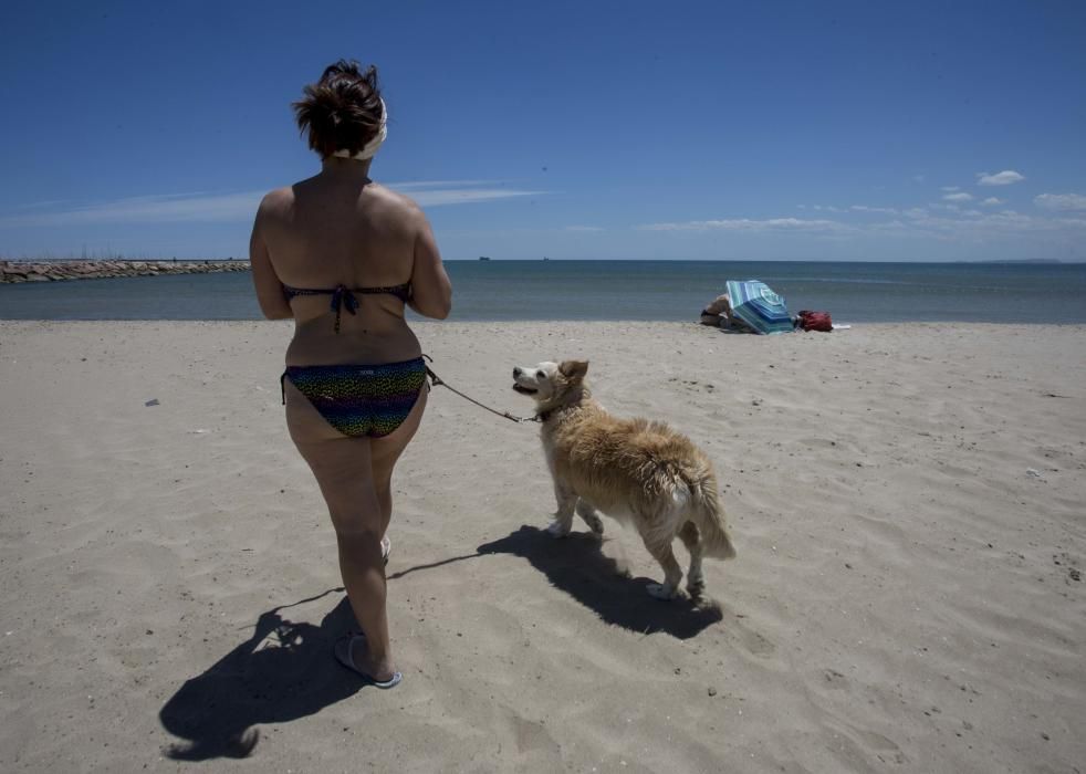 Primer día de la zona para perros en la playa de Pinedo