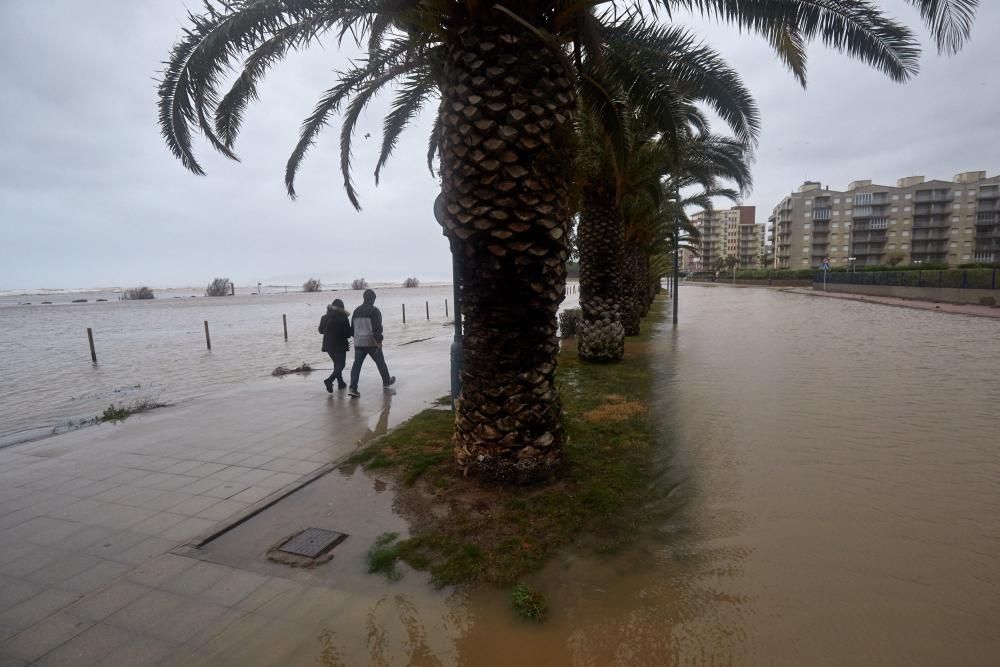 El temporal Gloria esborra les platges de l'Estartit