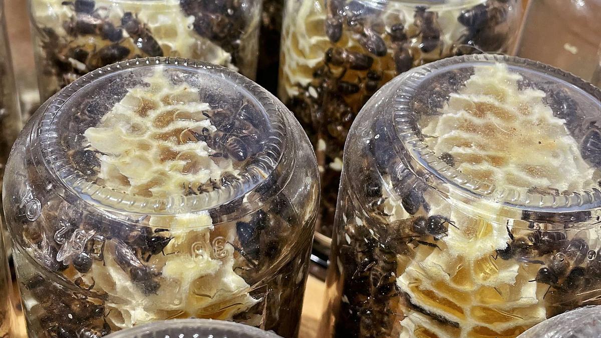 En la imagen, las abejas de Juan Félix Díaz Quintana, trabajando en la fabricación de cera y miel dentro de los botes de cristal. | | LP/DLP