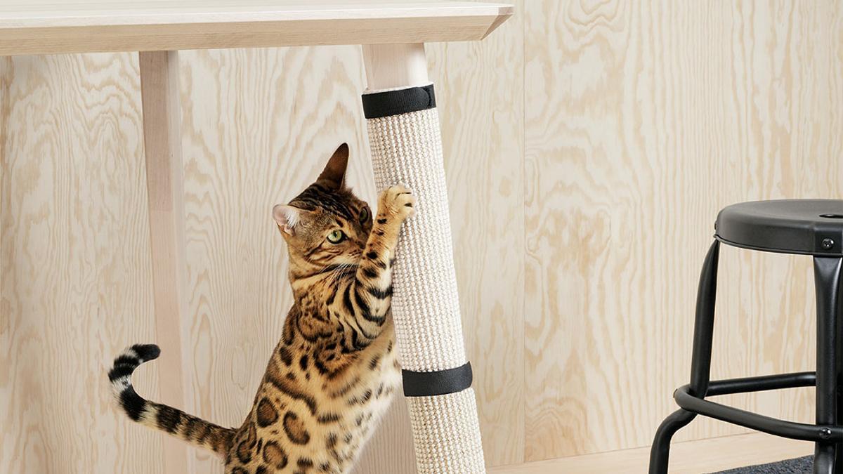 Juguete para gatos de Ikea