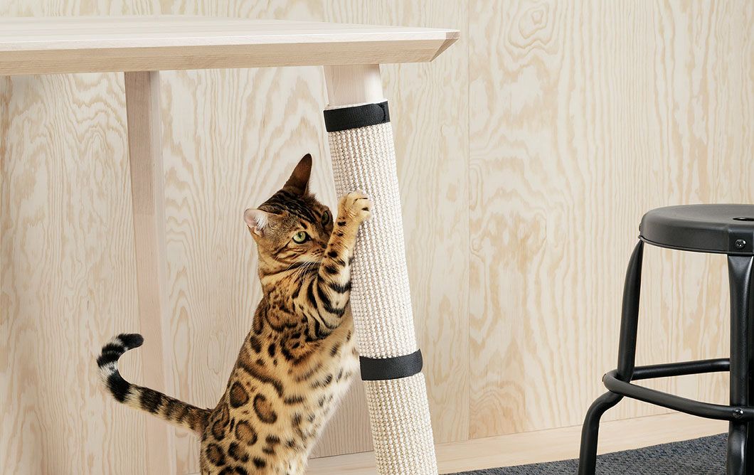Juguete para gatos de Ikea