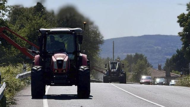 Ejecutan desbroces  en los márgenes de  la carretera N-525 | BERNABÉ