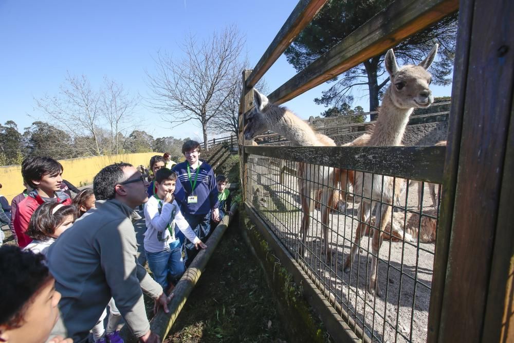 Visita escolar a Vigozoo