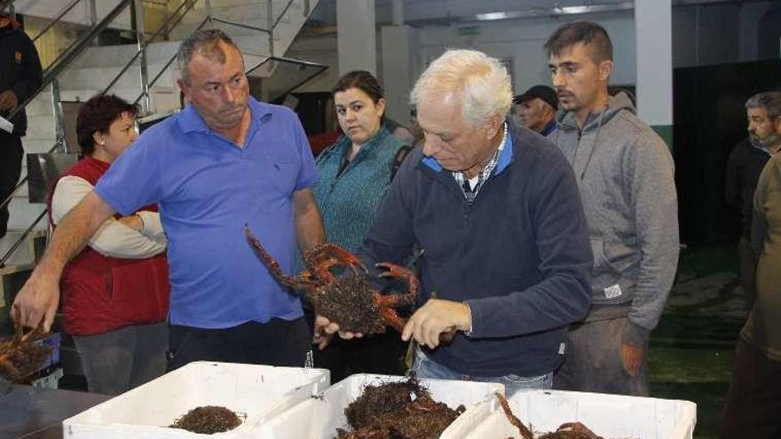 Subasta por etapas en la lonja de Bueu