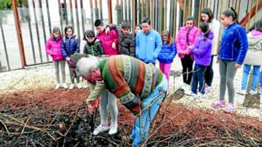 300 escolares participarán en el quinto taller de poda