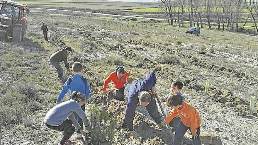 Los jóvenes participan en una nueva plantación de árboles