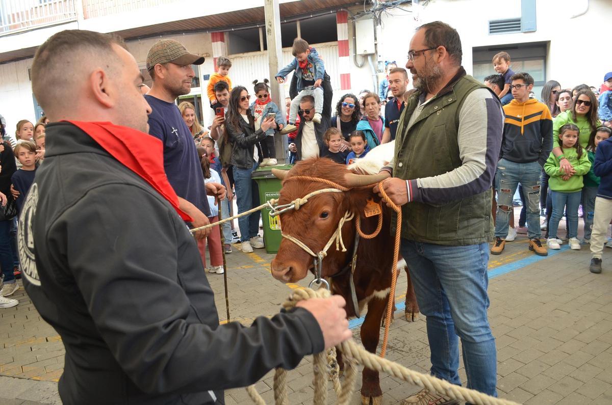 El sábado de La Veguilla de Benavente, en imáganes El sábado de La Veguilla de Benavente, en imáganes