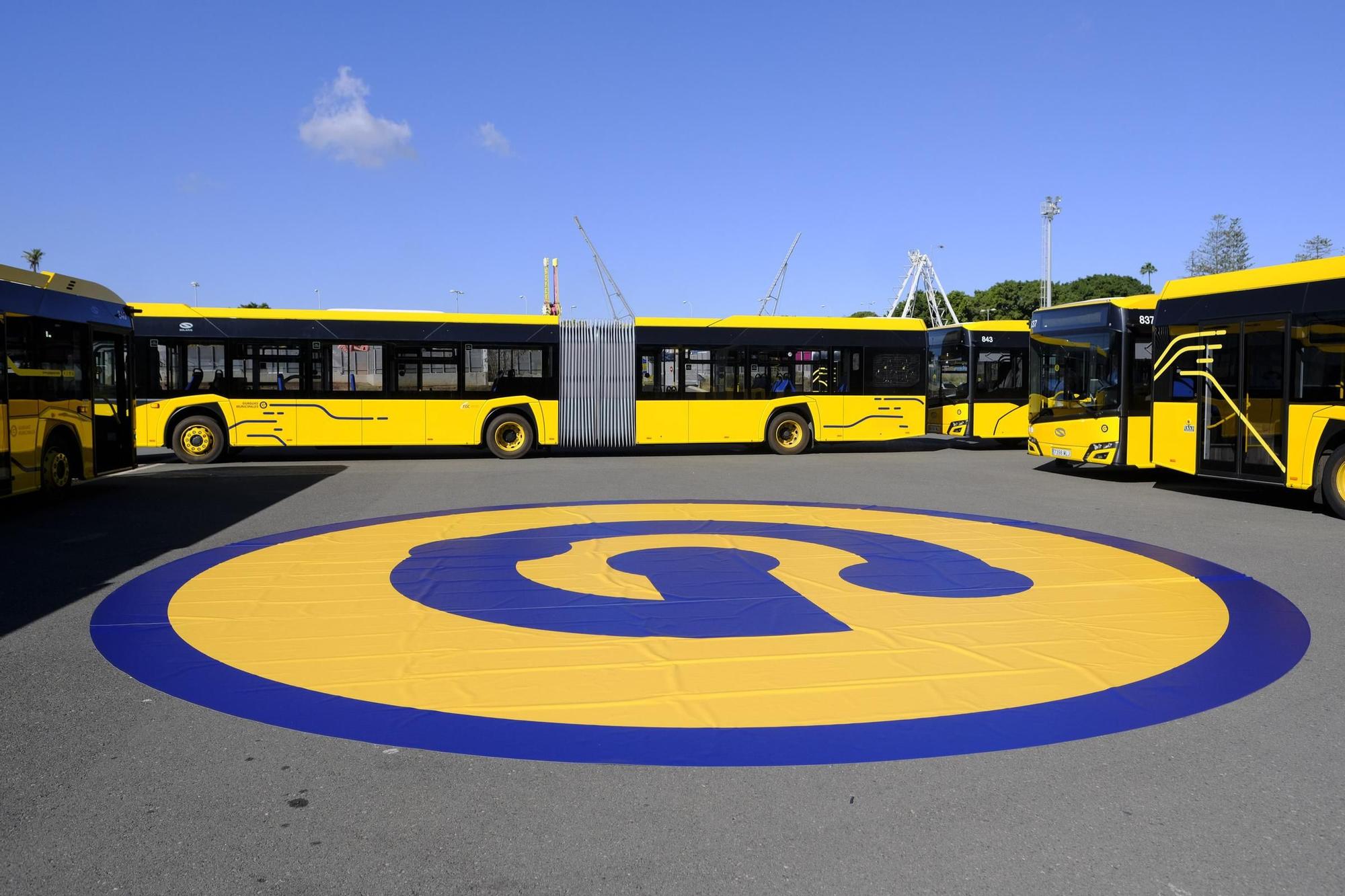 Guaguas Municipales presenta 15 vehículos de 18 metros que circularán en las líneas 12, 17, 33 y 91