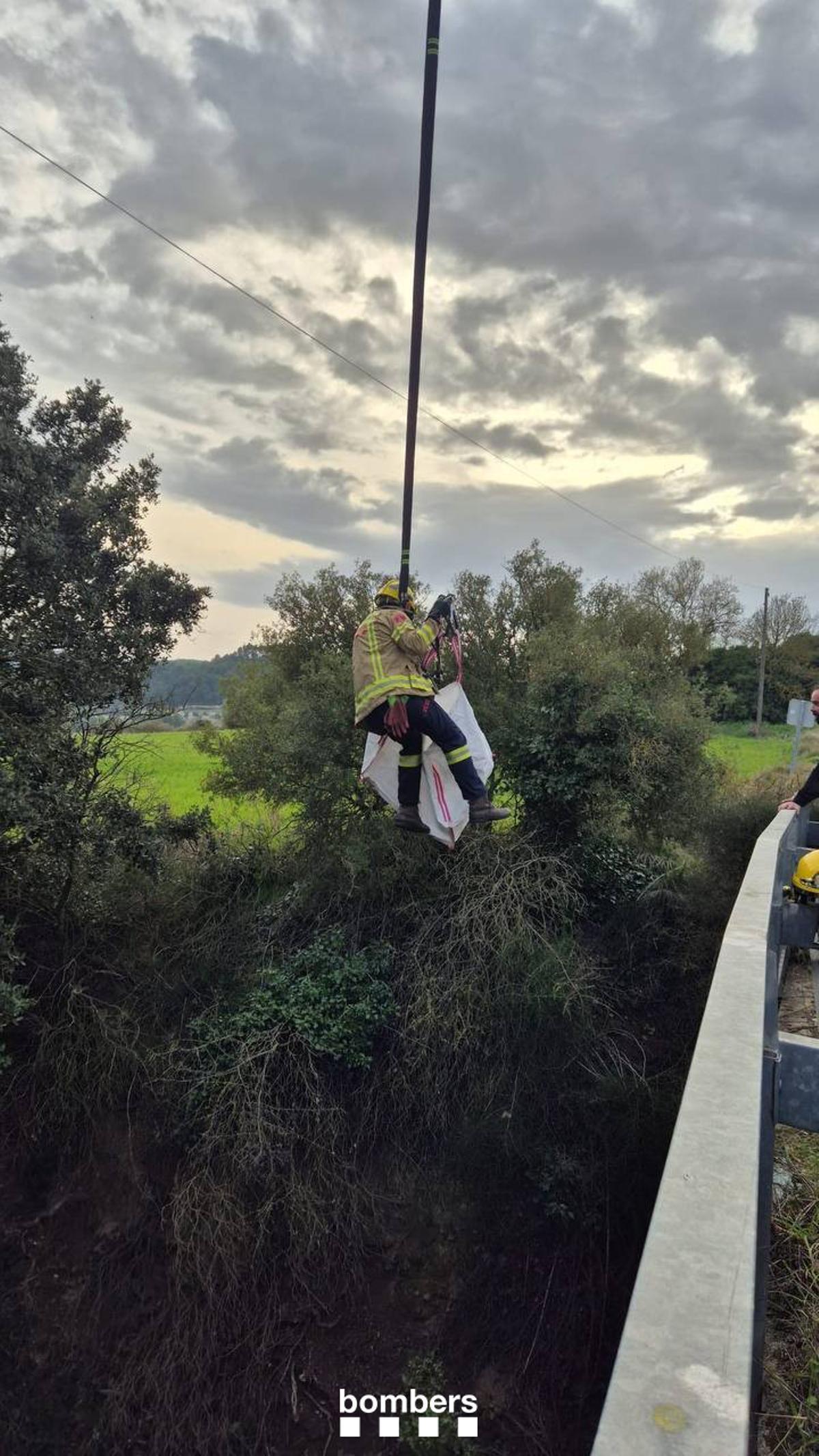 La gossa, d'uns 50 quilos, no ha patit ferides de consideració, malgrat l'alçada del talús