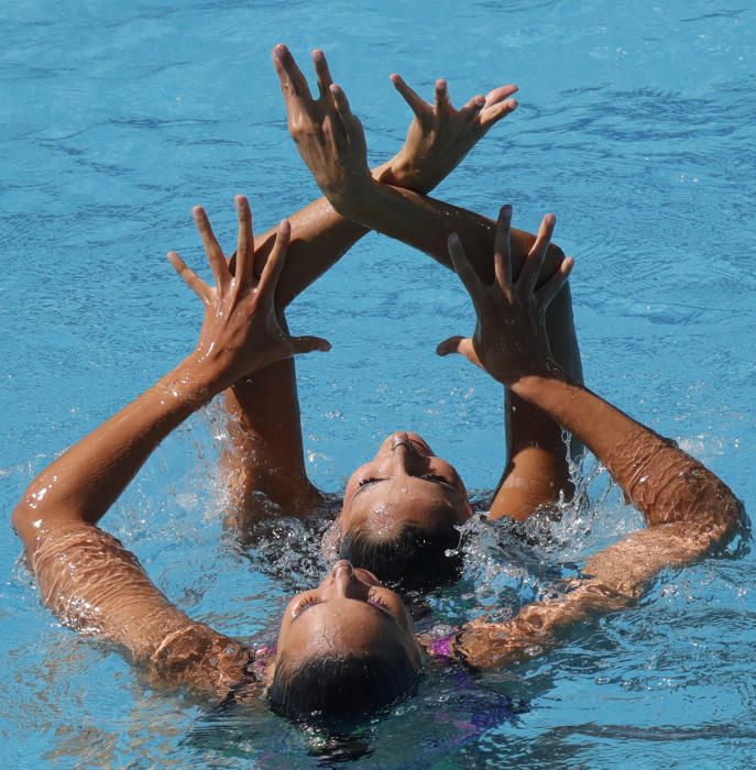 Las mejores imágenes de natación sincronizada (14/08/2016)