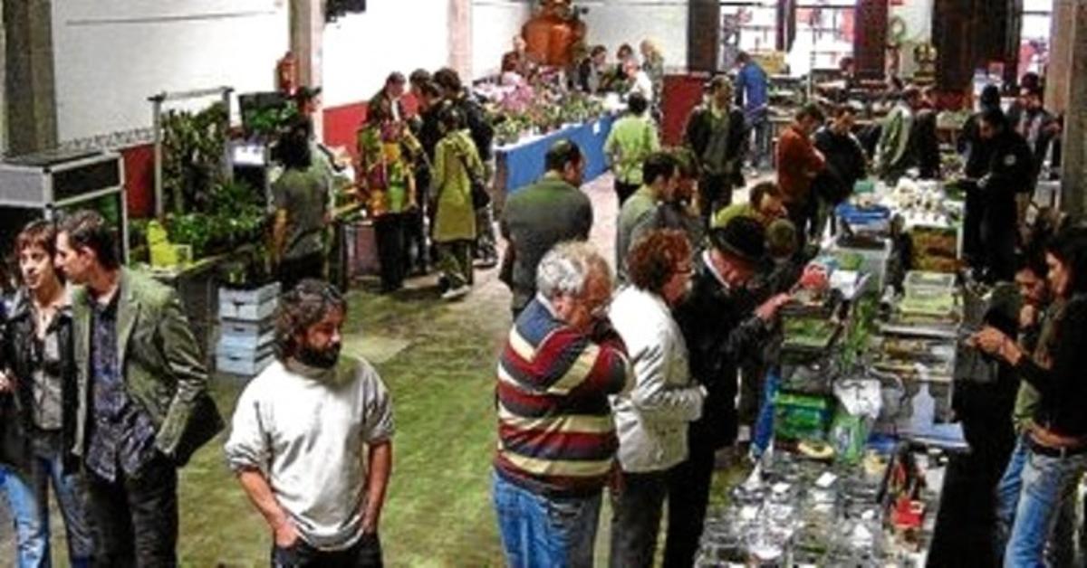 Un exemplar de granota exposat l’any passat. Un exemplar de granota exposat l’any passat.