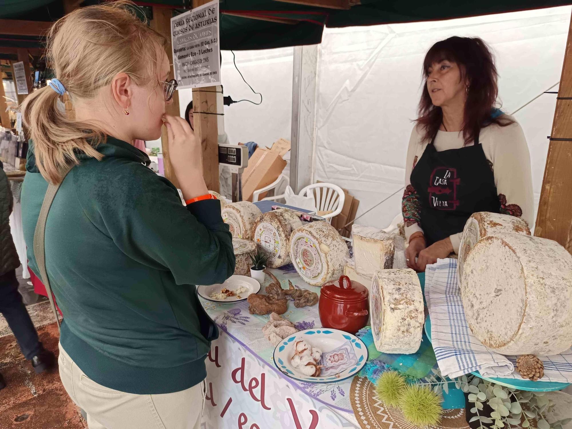 En imágenes: La lluvia no frena la XX Feria Regional de Quesos