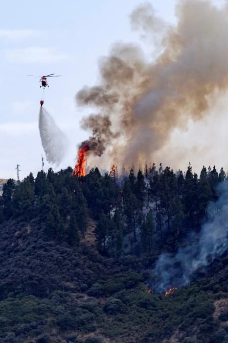 Nuevo incendio forestal en Gran Canaria