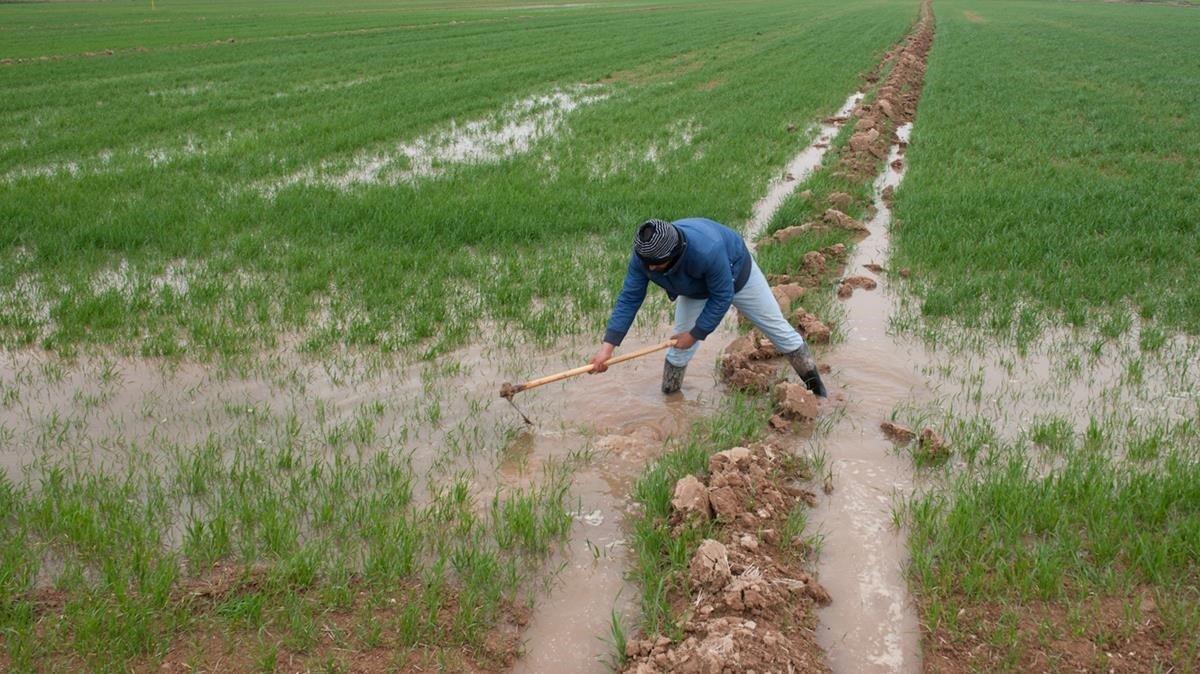zentauroepp15474857 14 03 2011 t rrega campos de t rrega riego por inundaci 200802152941 zentauroepp15474857 14 03 2011 t rrega campos de t rrega riego por inundaci 200802152941