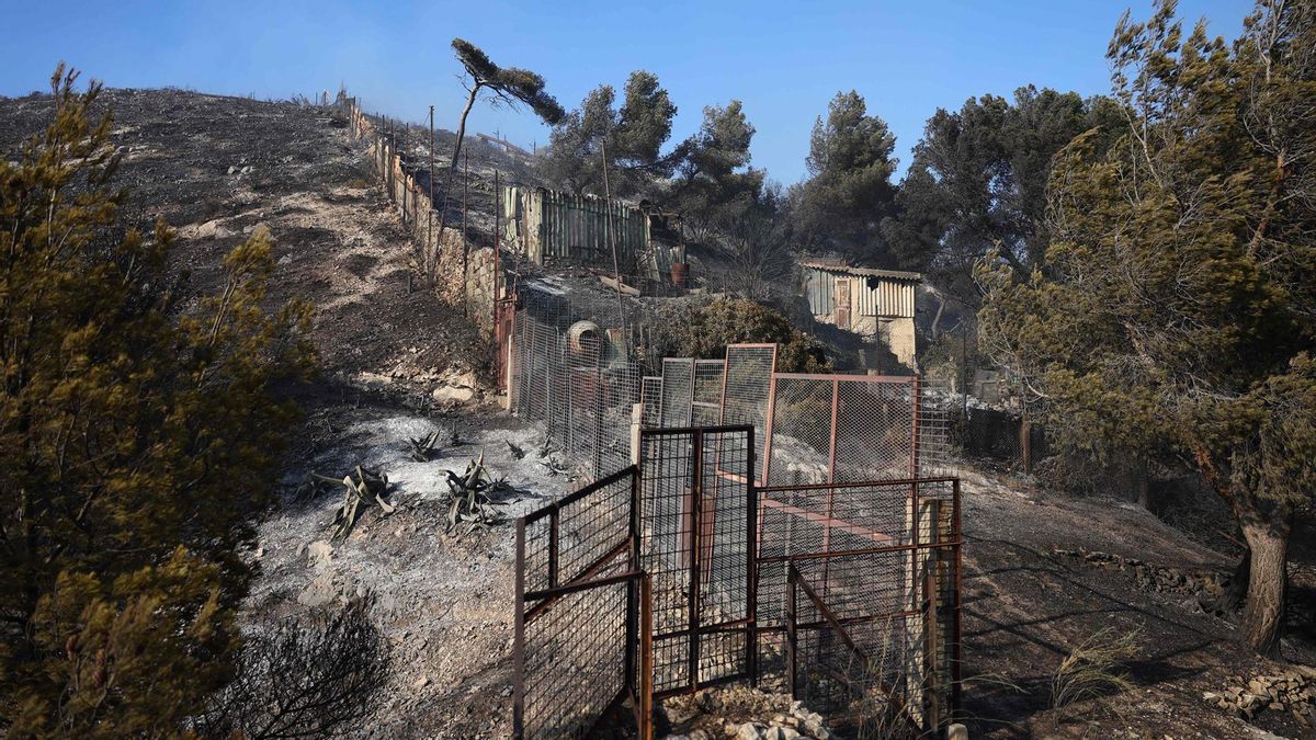 Marsella, la segunda ciudad de Francia, asediada por un violento incendio forestal