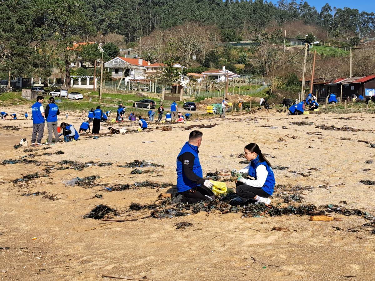 La limpieza de la playa de Area de Bon, en Bueu, en imágenes (II)