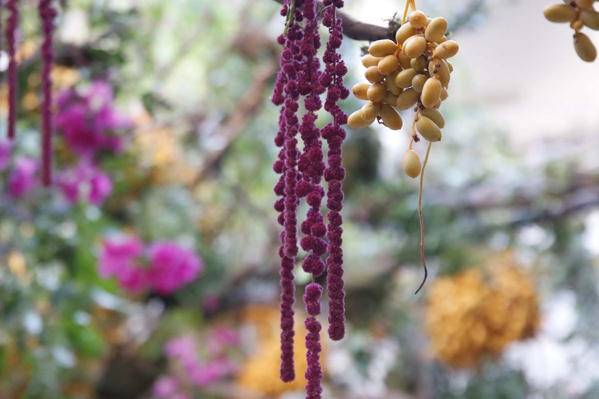 Conjunto floral instalado en el Museo Arqueológico