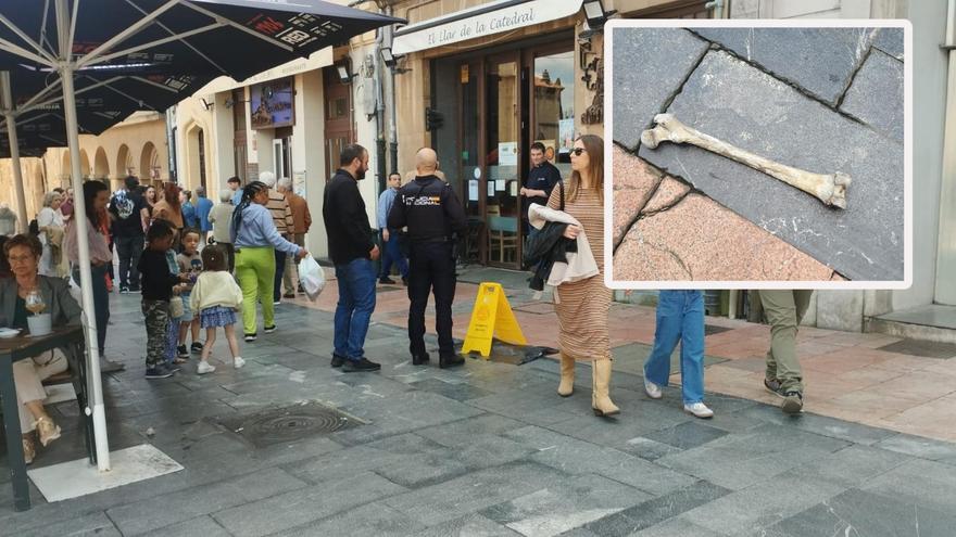 Alarma en Oviedo tras caer un fémur humano desde un piso a la plaza de la Catedral