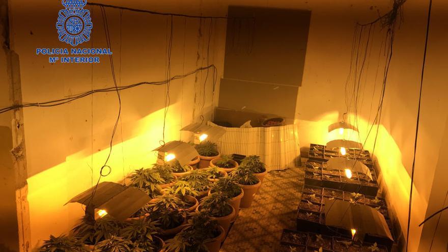 Cuatro detenidos en Gandia por regentar una casa en la que se distribuía cocaína, heroína y marihuana