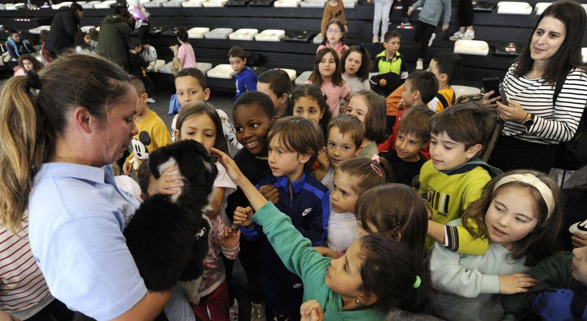 Varios escolares acarician un border collie, tras la sesión de Agility.   | // BERNABÉ/JAVIER LALÍN