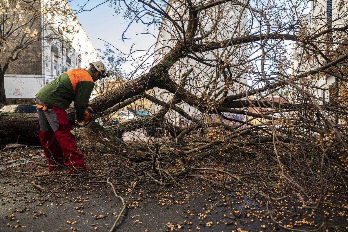 Fotogalería | El temporal en Cáceres, más imágenes