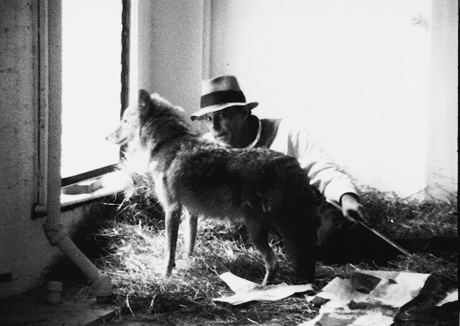 Joseph Beuys