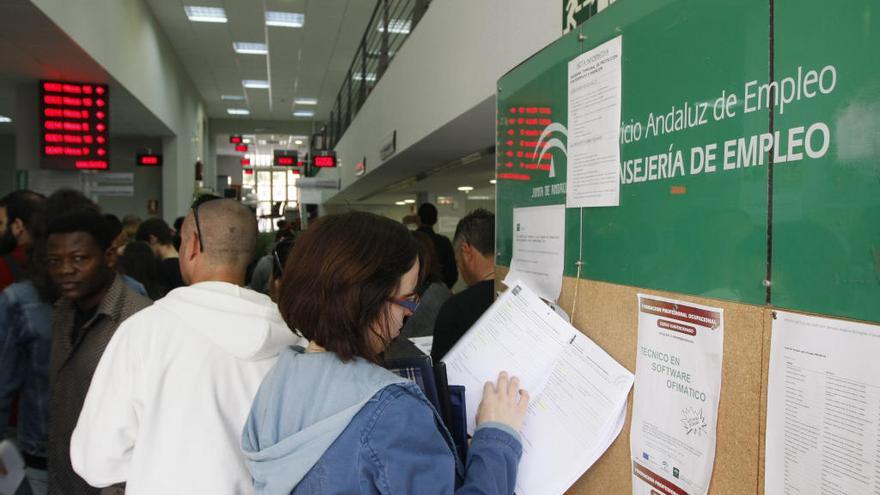 Ciudadanos en la oficina de empleo situada en Gamarra, en Málaga capital.