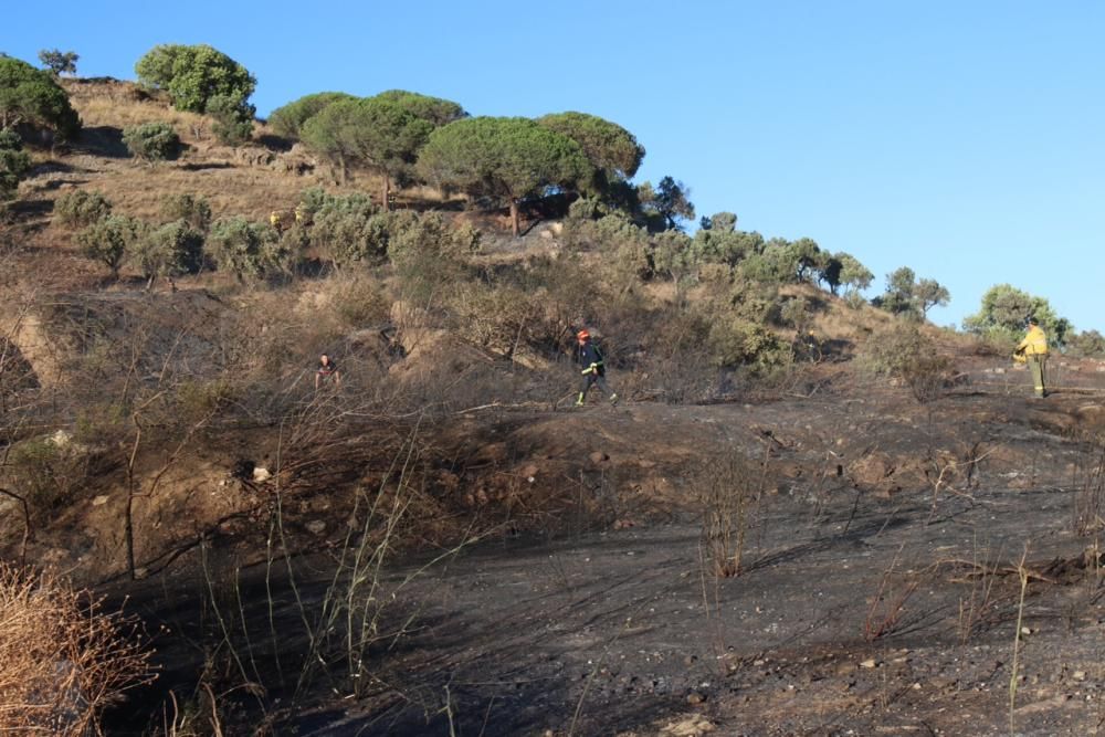 Incendio de matorral cerca del Asilo de los Ángeles