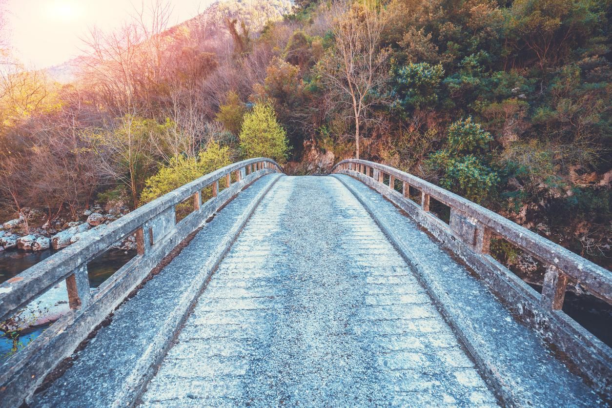 Puente en la Hermida sobre el río Deva.