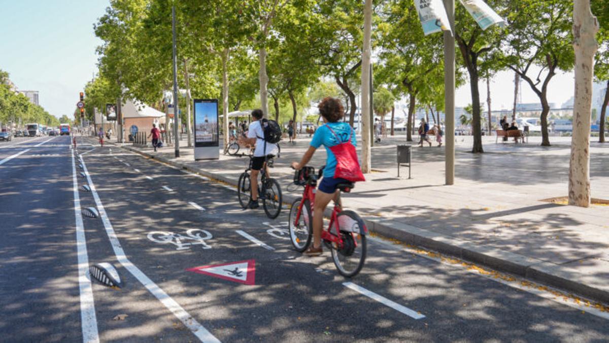 El nuevo carril bici del paseo Joan de Borbó en Barcelona.
