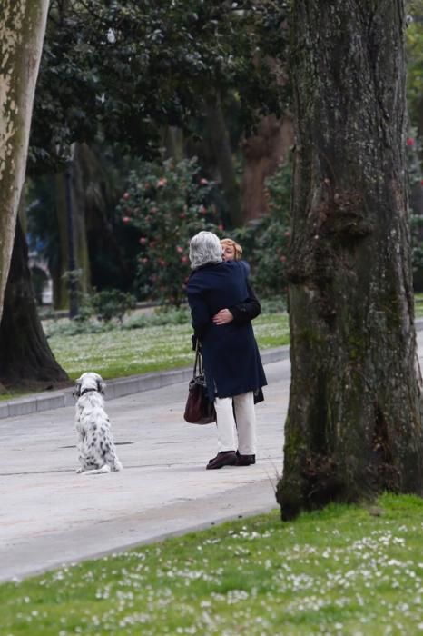 Parque de perros en el Parque San Francisco de Oviedo