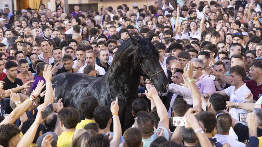 El caballo Seductor se convierte en el rey del Hoyo