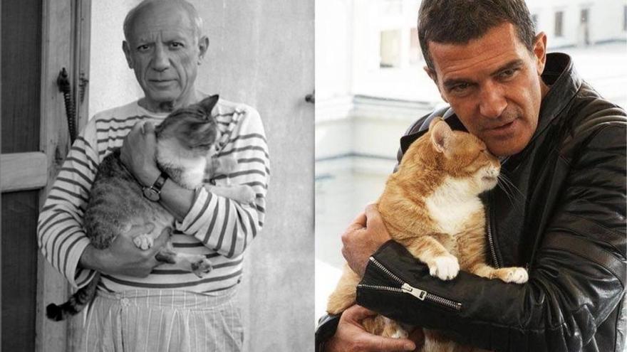 Picasso y Banderas