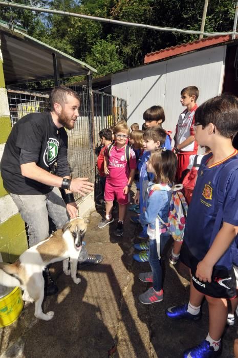 Visita de escolares a la protectora 'El Trasgu' en Mieres