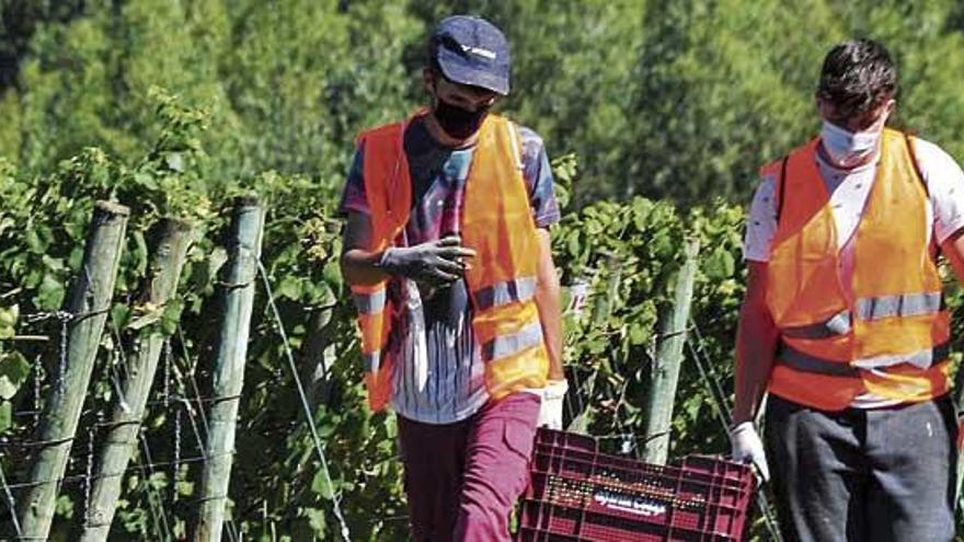 Inteligencia artificial para un rural gallego más estable