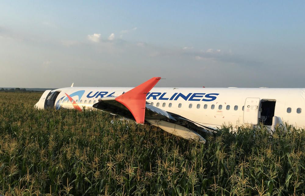 Un avió realitza un aterratge d'emergència en un camp de blat de moro prop de Moscou