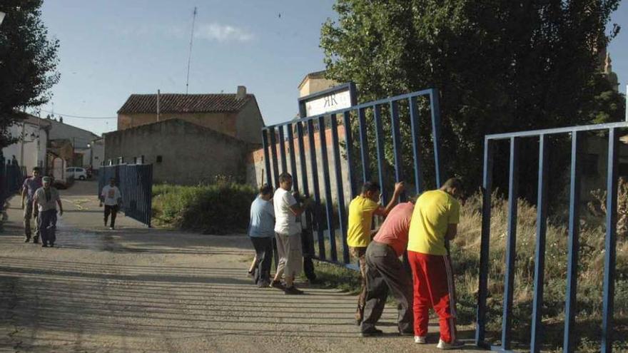 Un grupo de vecinos de Venialbo fija las talanqueras que acotan el recorrido del encierro.