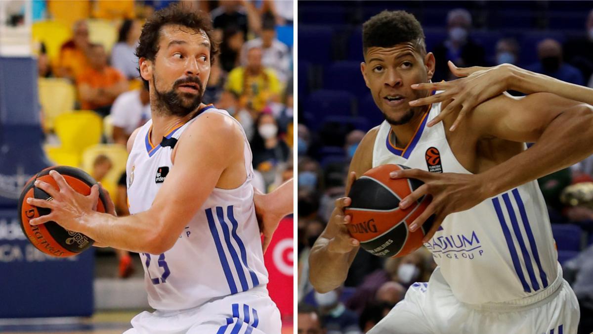 Llull  Tavares