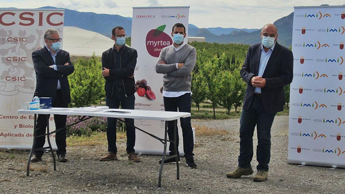 Presentación de las variedades de ciruela ‘Lucía Myrtea’ y ‘Victoria Myrtea’, ayer. | L. O.