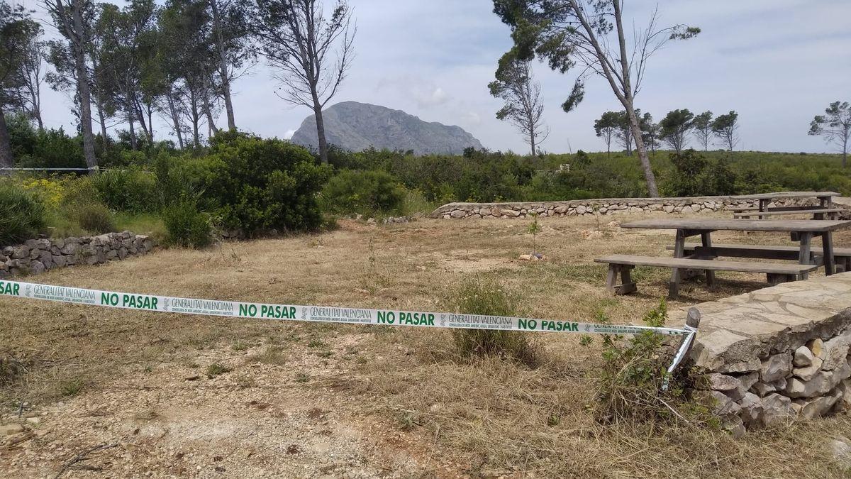 El enjambre ha sido detectado en el área recreativa de la zona de Les Planes, en Xàbia.