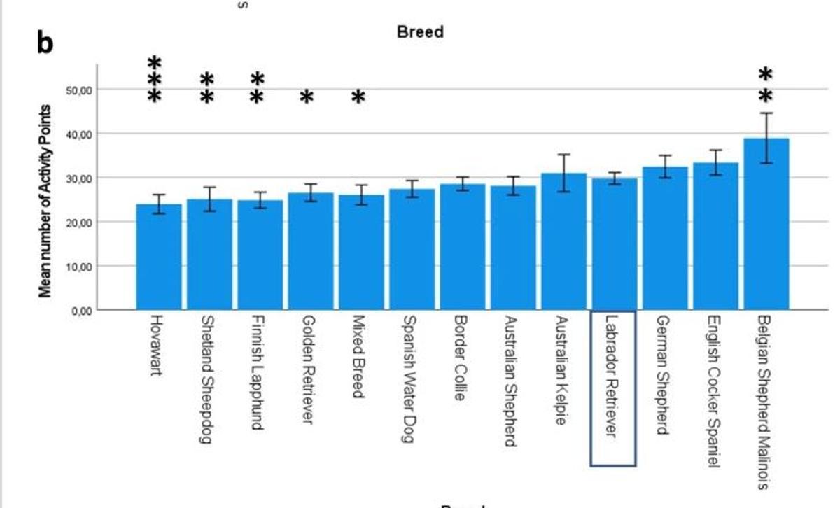 Puntuaciones medias del nivel de actividad (medidas en puntos FitBark) para cada raza