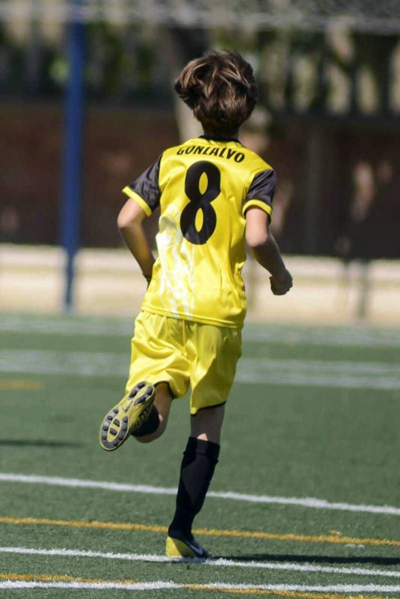 FÚTBOL: La Muela B - Segia (2ª Alevín)