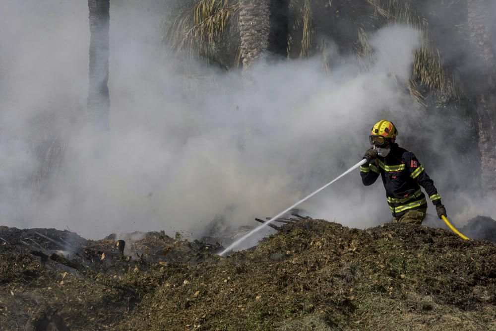 Fuego en el Palmeral de Elche