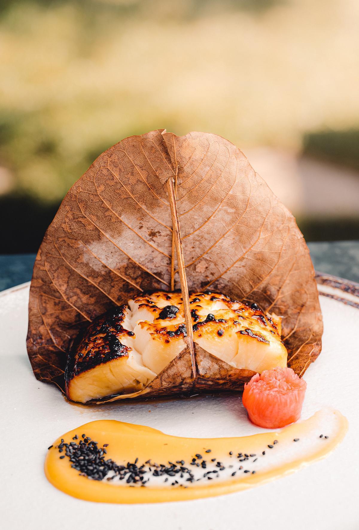 Schwarzer Kabeljau, zuvor in Yuzu-Miso eingelegt.
