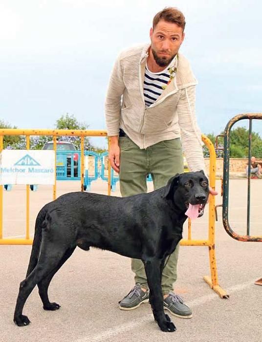 Mehr als 80 Hunde der mallorquinischen Rasse waren zu sehen